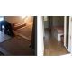 Plancher et parquet