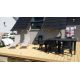 Terrasse Fiegel Schalbach